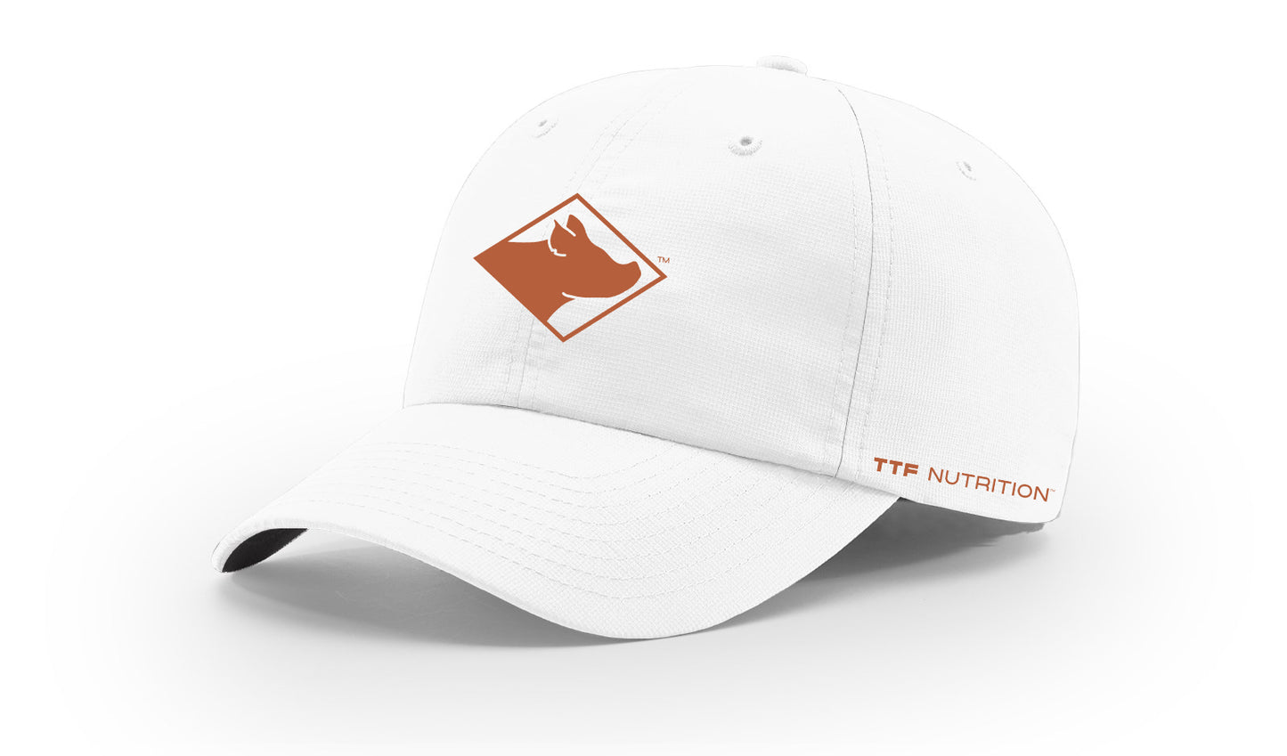 Chiseled Icon Hat (220)